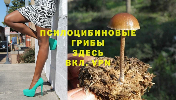 гашишное масло Аркадак