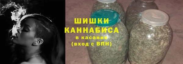 ГАЛЛЮЦИНОГЕННЫЕ ГРИБЫ Пестово