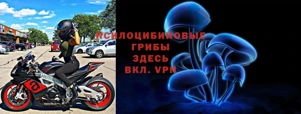 не бодяженный Пересвет