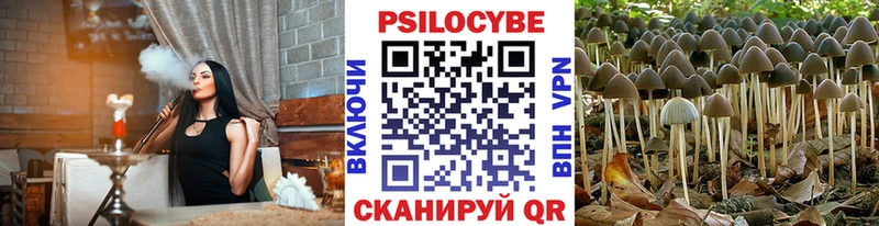 Псилоцибиновые грибы GOLDEN TEACHER Ртищево